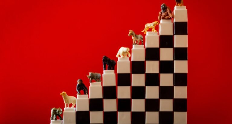 Some Quick Tips To Help With Toy Purchases