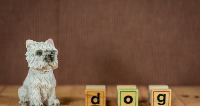 Are You Shopping For Toys? Read This First!