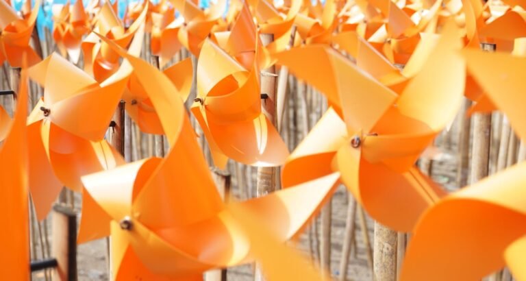 Do You Have Toy Questions? Read On